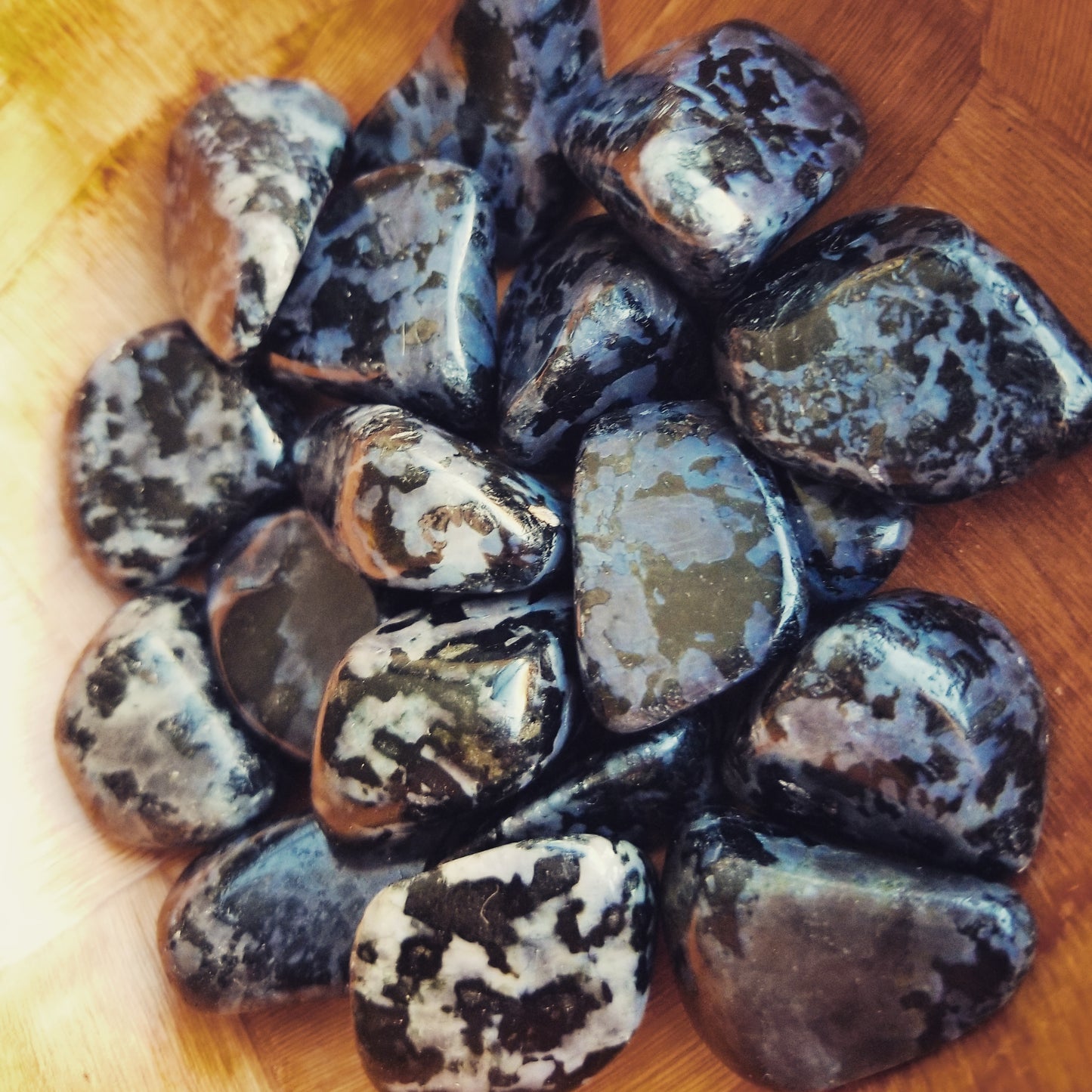 Indigo Gabbro