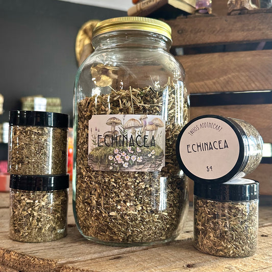 Echinacea