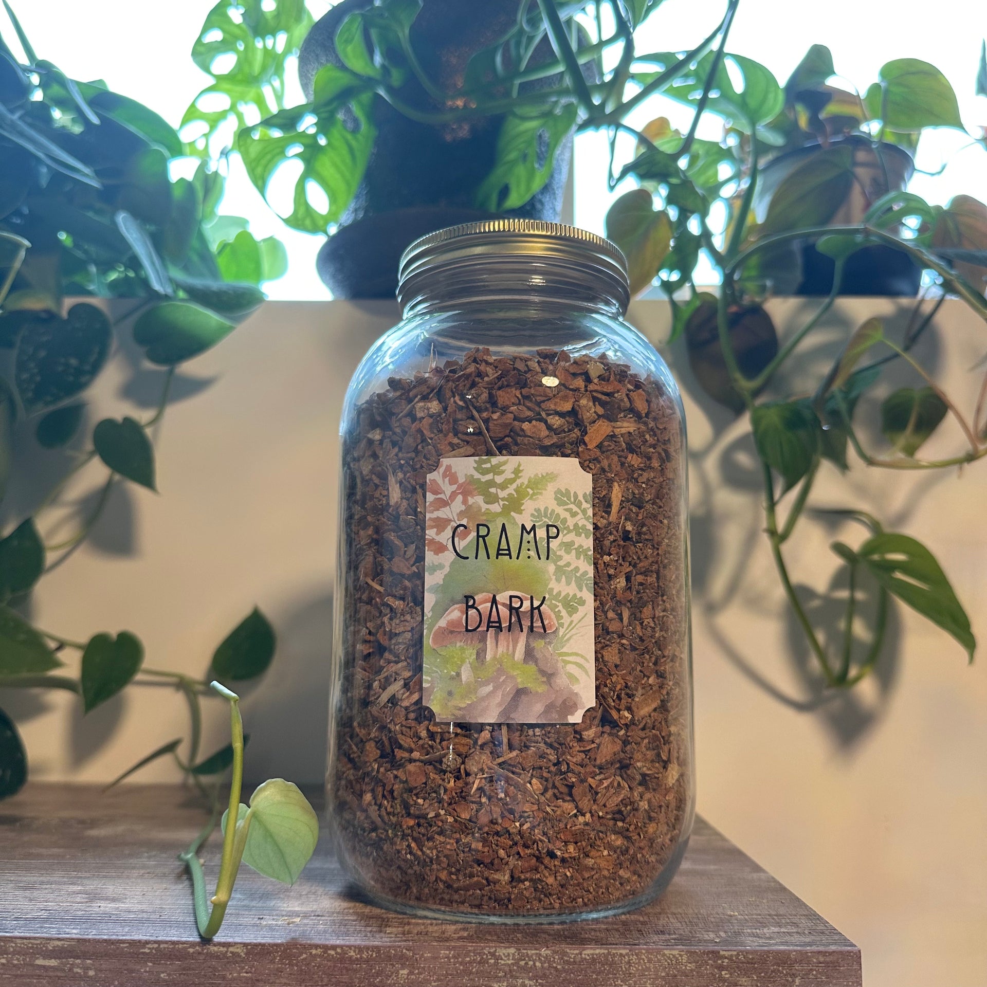 Cramp Bark – Twisted Twigs Earthen Goods