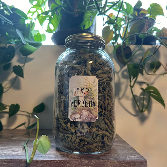 Lemon Verbena