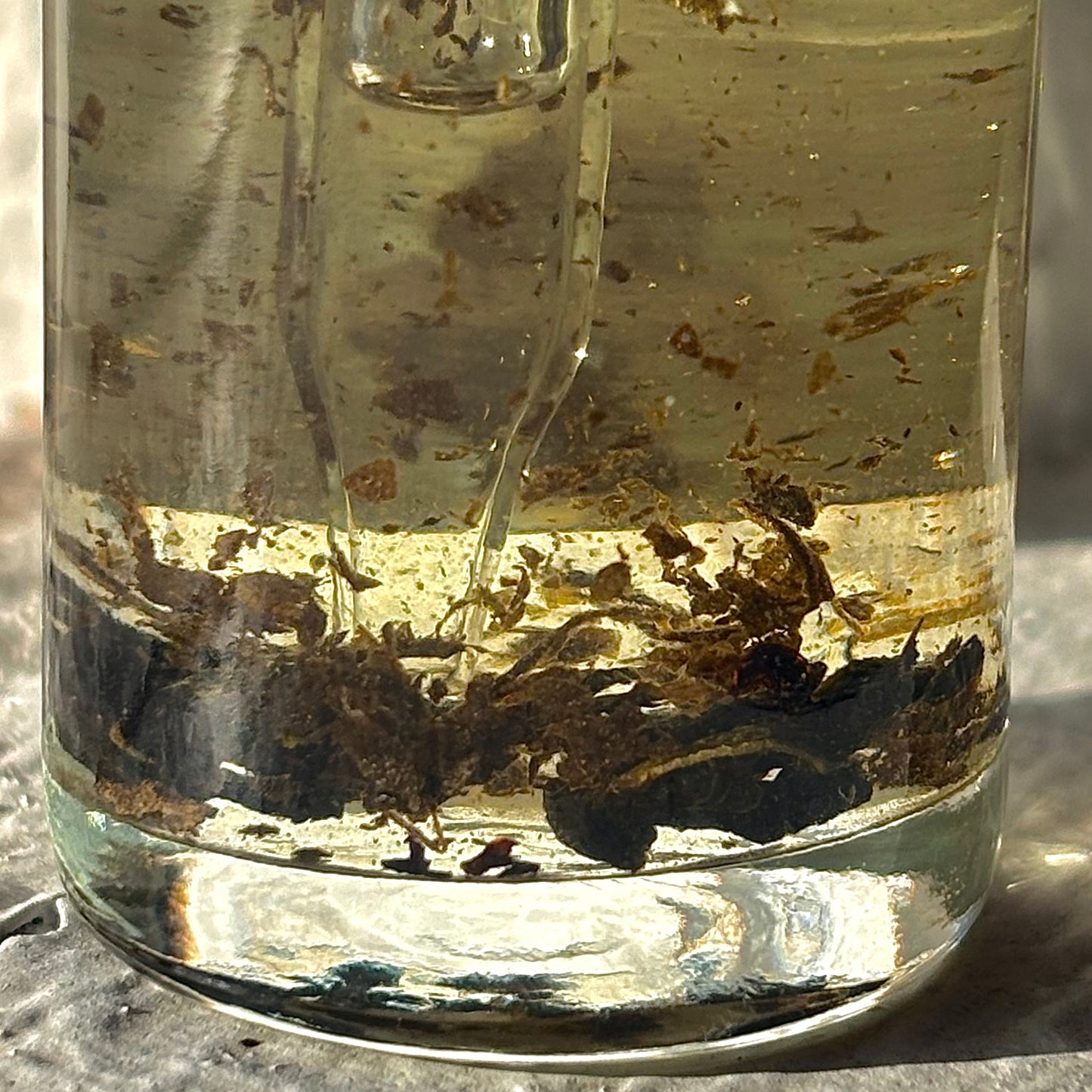 House of Earth | Spell Oil |