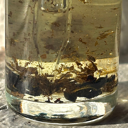 House of Earth | Spell Oil |