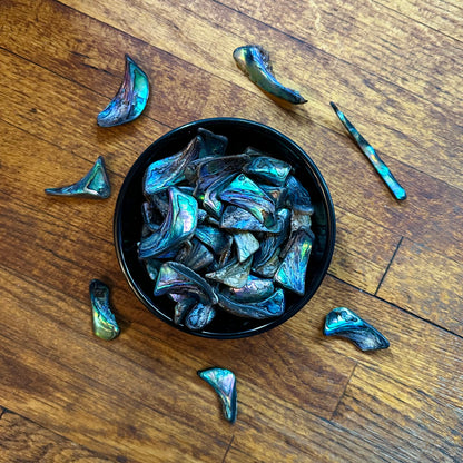 Abalone Shell