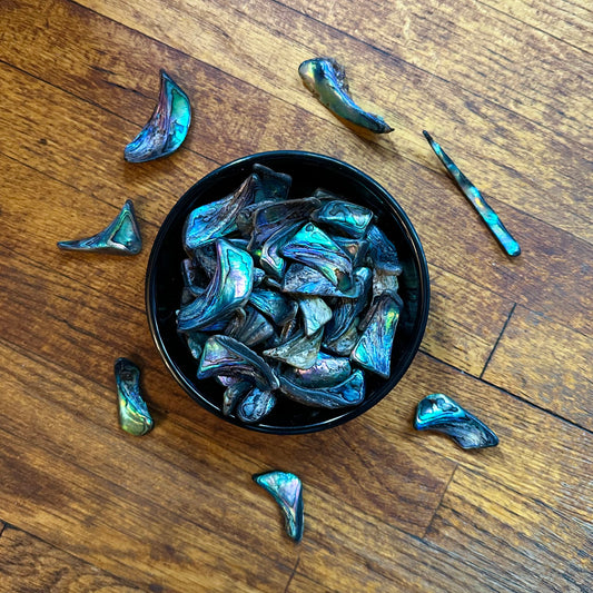 Abalone Shell