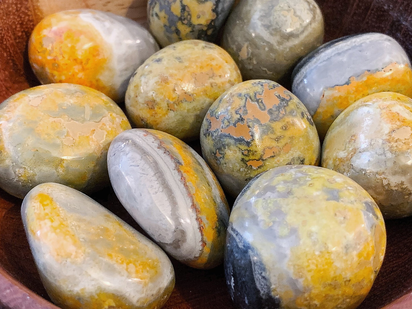 Bumble Bee Jasper