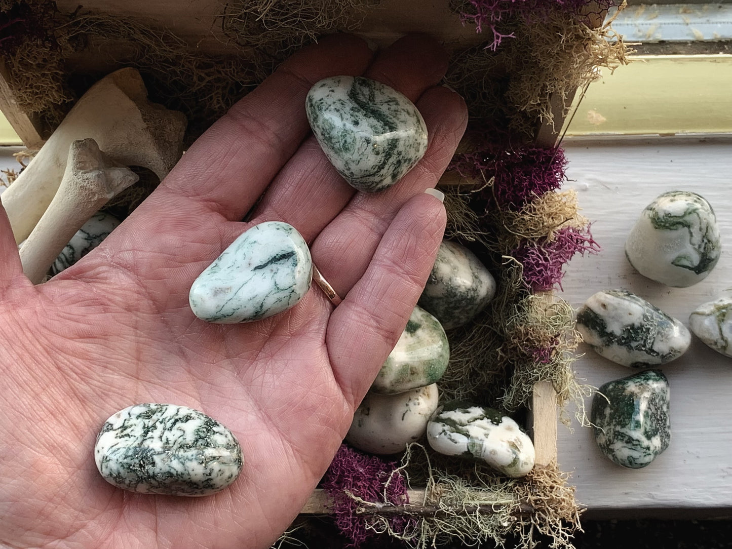 Tree Agate